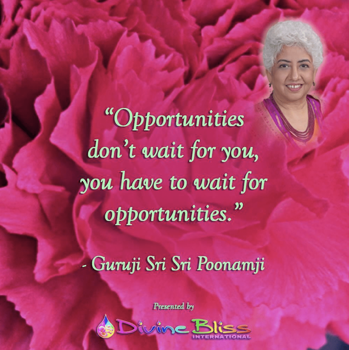 Divine Bliss International