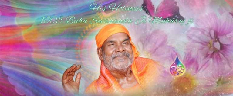 Sri Sri Sri 1008 Baba Sevanandaji Maharaj ji